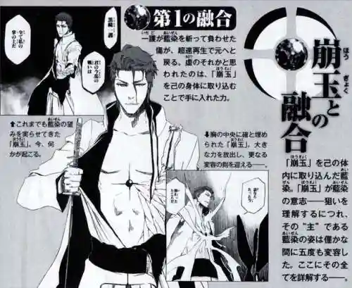 灵魂撕裂蓝染阵容搭配(蓝灵上衣中毒最强搭配)插图4