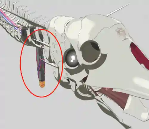 新世纪福音战士剧场版(Eva新剧场版破免费观看B站)插图9
