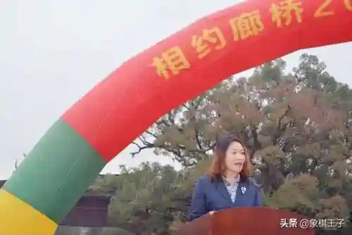 下棋女神阵容搭配推荐图(女神联盟阵容)