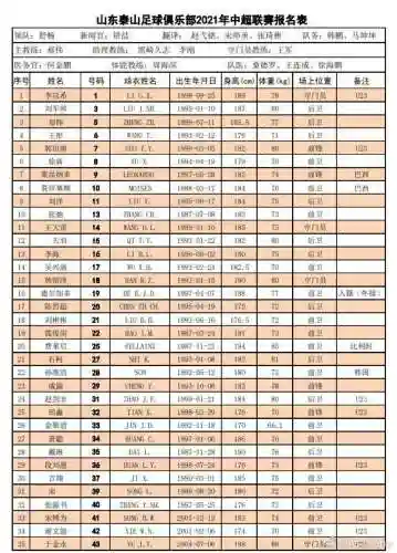 2021中超鲁能阵容搭配(山东鲁能历史最佳阵容)