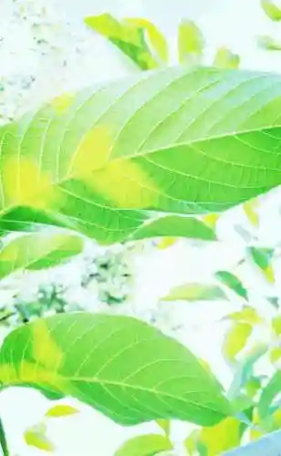 超好看的手机壁纸图片(手机壁纸图片女生专用)插图67 超好看的手机壁纸图片(手机壁纸图片女生专用)插图67