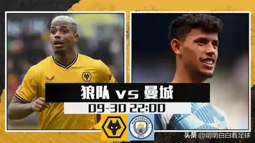 狼队摆烂阵容搭配(沙暴队最强阵容搭配)