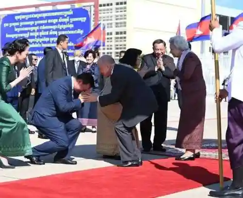 老太太阵容怎么搭配(全民僵尸大战军人全部阵容)