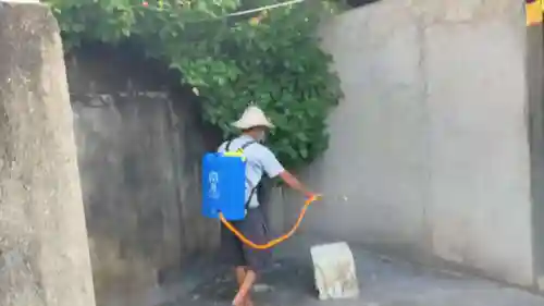 蜱虫和阴虱的图片(阴虱子是怎么长出来的)插图9 蜱虫和阴虱的图片(阴虱子是怎么长出来的)插图9