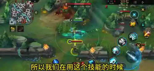 人马怎么玩人马怎么打野(特级一级二级资质怎么办)插图2