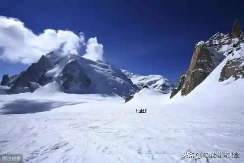 精致的反义词(精致的反义词是什么(最佳答案))