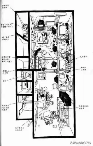 火影忍者第10集(火影忍者在哪里看)插图19