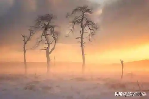 2021年图片大全好看(唯美图片2024新图片)插图38