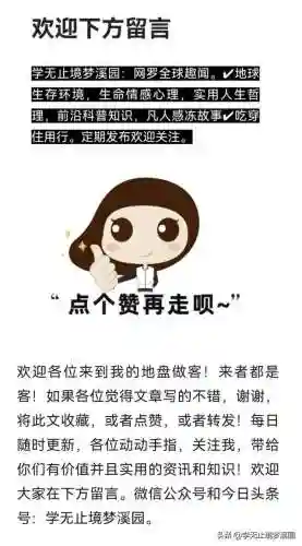 网文写作阵容搭配表最新(最新火影积分赛阵容表)插图1