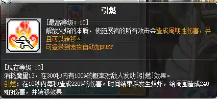 冒险岛炎术士技能展示(冒险岛t0输出的职业)插图22