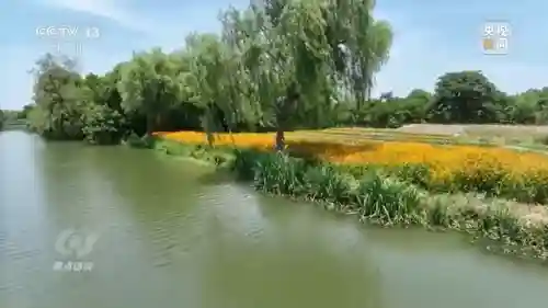 体球网手机比分(体球网足球官网)插图15