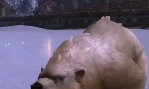 80级猎人最好的宝宝(wlk猎人最强3个宝宝)插图3