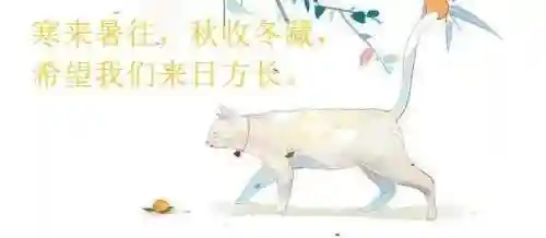 满级的我在异界当书生(我在异界挥刀就变强)插图9
