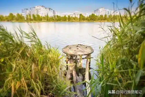 东南风适合钓鱼吗(风向钓鱼口诀)