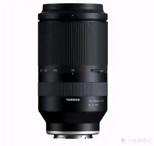 咸鱼之王2860关阵容搭配(咸鱼之王)插图30