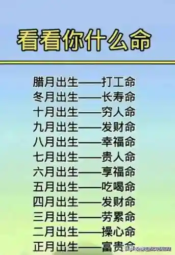 总排行榜总收藏总点击榜(总点击榜月点击榜周点击榜)插图11