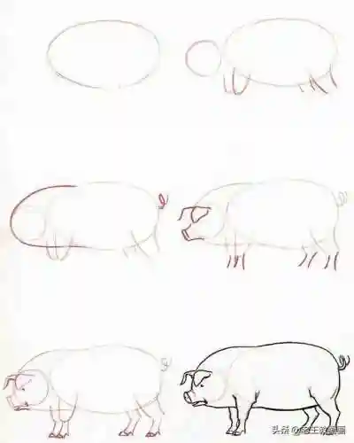 画100个呆萌可爱小动物(画小动物简单又可爱)插图9