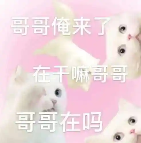 无语表情包阵容搭配图(强颜欢笑表情包)插图41