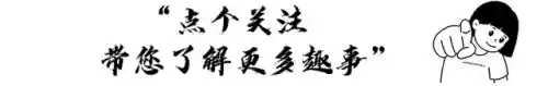 失落战境阵容搭配推荐(第五人格最强阵容搭配)