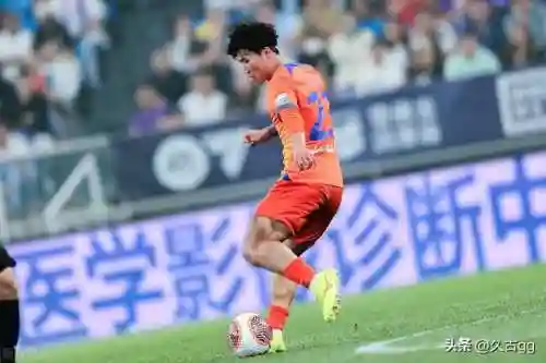王者中路防御阵容搭配推荐(王者荣耀所有中路英雄)插图10