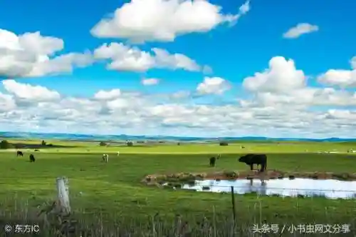重生之超级大地主(都市大地主)插图1 重生之超级大地主(都市大地主)插图1