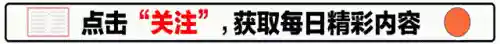 人类大战僵尸游戏(单机经典老游戏)