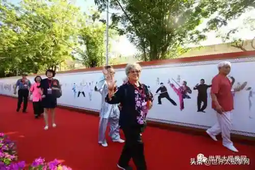 太极演员阵容搭配图片(云太极新款太极表演服装)插图38