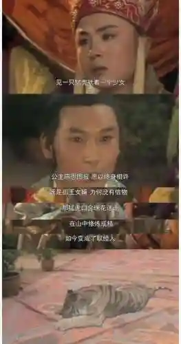 西游记演员死亡表(西游记50位美女排名)插图52