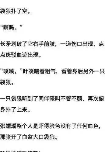 我和七个女神在荒岛求生(和女神们流落荒岛我为王免费阅读)插图50