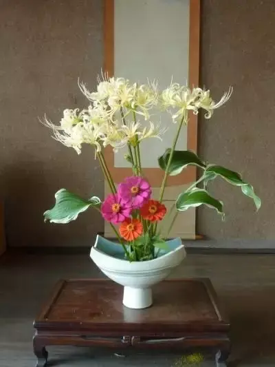 彼岸花图片真实照片(女孩子纹彼岸花代表什么)插图35