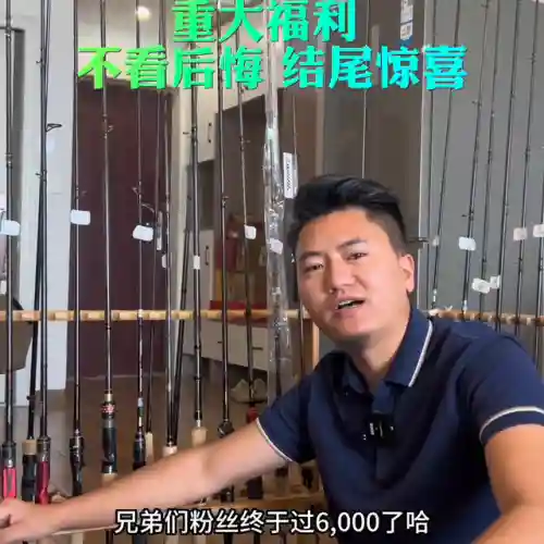 至尊黑乌鸦搭配什么阵容(帝国乌鸦阵容)