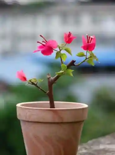 生根发芽阵容搭配图表大全(生根和发芽的顺序排列)