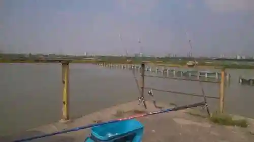 激战新海最强阵容搭配攻略(数码暴龙激战最强阵容)插图6
