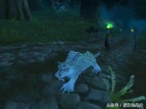 永久60服猎人宝宝排行(猎人最稀有的宝宝排行)