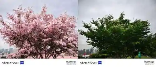 原神夜览搭配阵容(原神深渊最强阵容)插图47