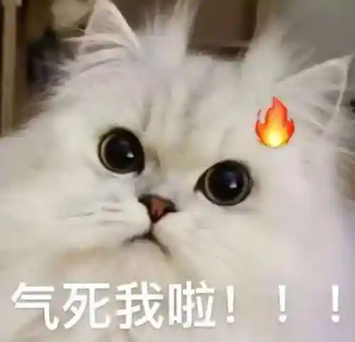 聊天交友软件有哪些(有啥好的聊天软件)插图11