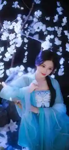 主题壁纸大全(免费主题软件下载)插图41