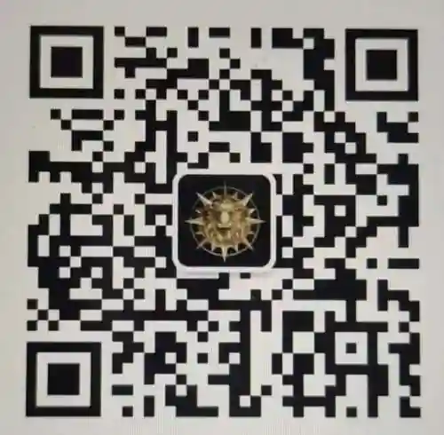 勇者格斗女生推荐阵容搭配(女角色格斗游戏)插图8