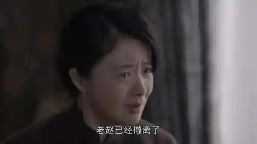 潜行者电视剧剧情介绍(潜行者2014)插图4