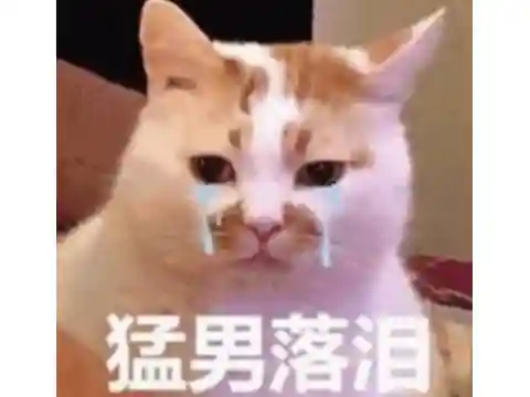 摩尔庄园 淘米网(赛尔号淘米官网)插图7