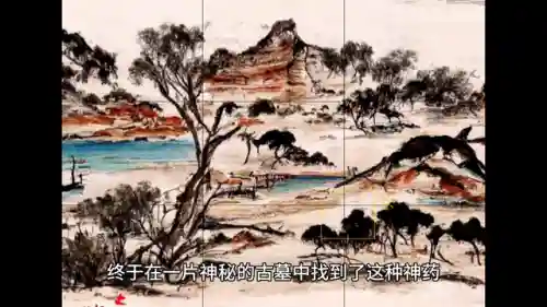 道士召唤僵尸传奇(道士打僵尸游戏)插图1