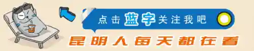 不败精灵最强阵容如何搭配(零命雷神最适合的阵容)