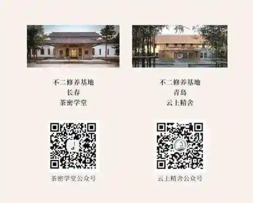 混沌无极阵容搭配攻略图(自在混沌棋盘最强阵容)插图11