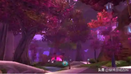 海狮试炼居民在哪(部落德鲁伊海狮试炼坐标)