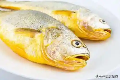 5种公认最好吃的海鱼(最好吃海鱼排名)插图20