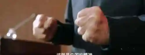国之重器阵容搭配(桃园盾t0队伍搭配指南)插图1
