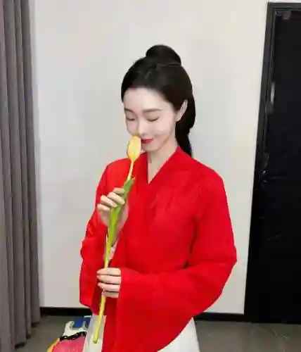 全明星古装阵容搭配推荐(武侠大明星阵容推荐)插图4
