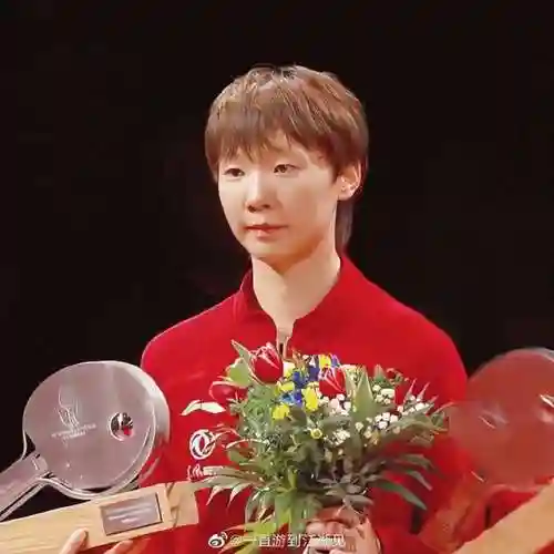 王者荣耀印度男团阵容搭配(王者荣耀国家队阵容)插图7