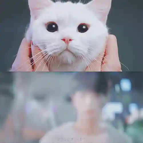 火蚁女搭配什么阵容(火蚁女配件)插图33