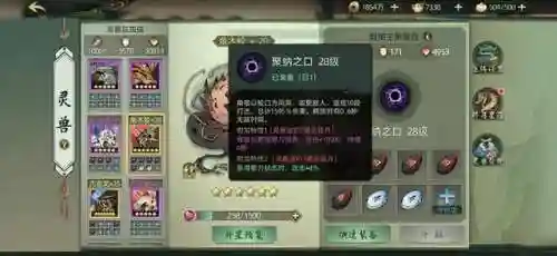 灵兽比斗搭配阵容(决斗大师阵容搭配)